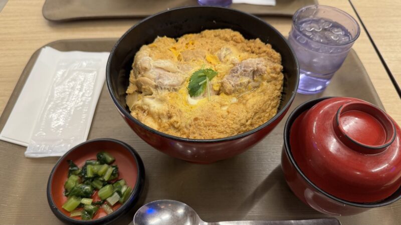 成田空港第2ターミナルのカミヒコウキの親子丼